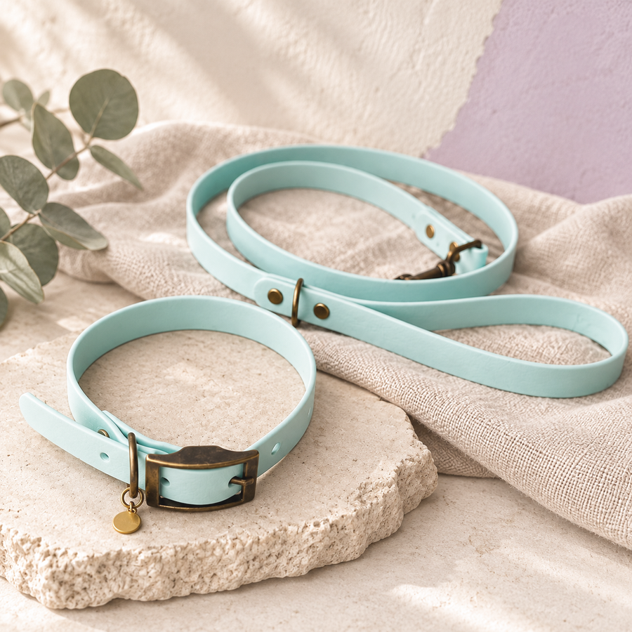 Dolly & Co Collars and Leads collection cover