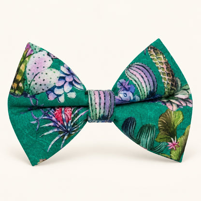 Emerald tropical handmade dog bow
