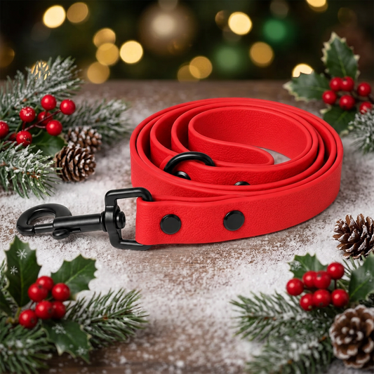 Poppy red waterproof BioThane dog lead with black hardware – Dolly & Co