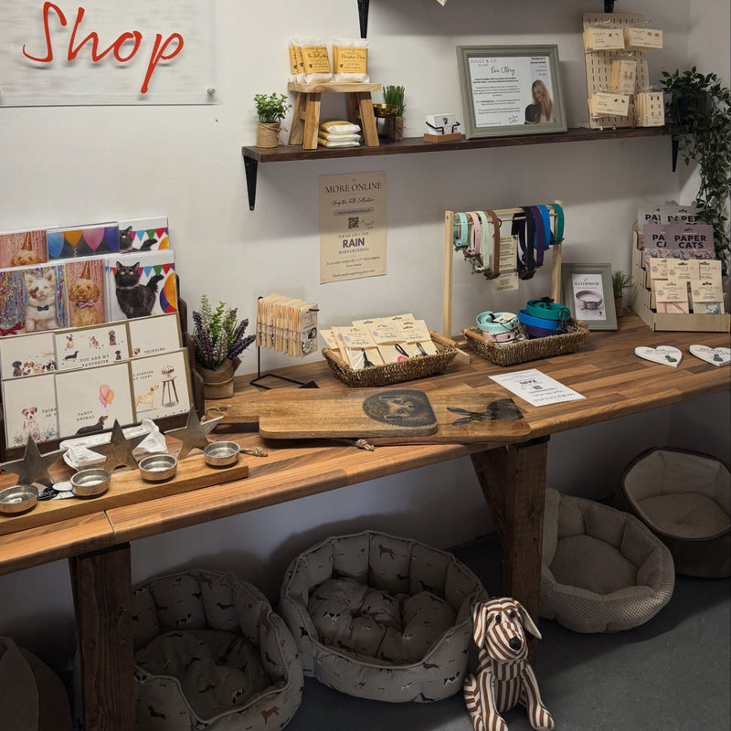 A retail display table at Rain Shop showcasing various pet-related products, including pet beds, a plush dog toy, cards, and small jars, with wooden shelves and a sign reading 'Rain Shop' on the wall.